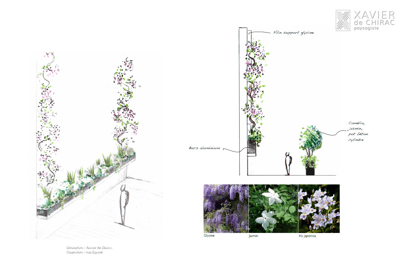 jardin croquis hotel