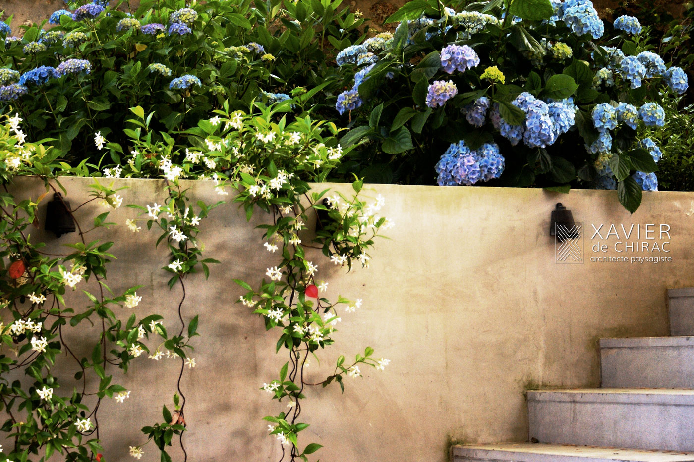 Jardin avec chambre de verdure