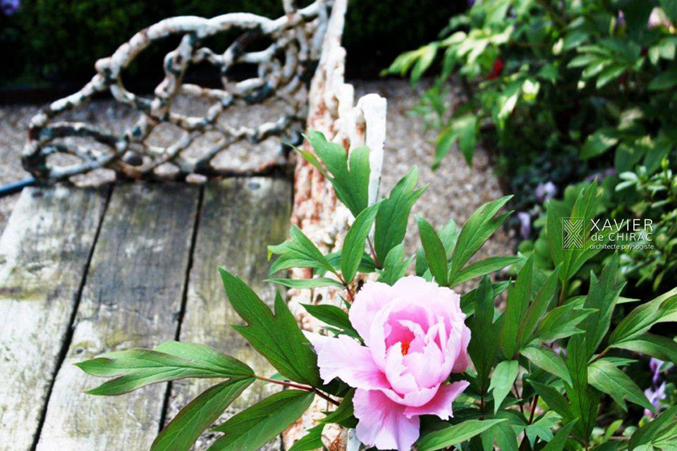Jardin avec chambre de verdure