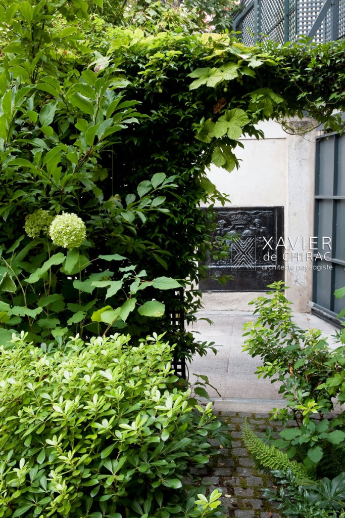 jardin paris petit jungle