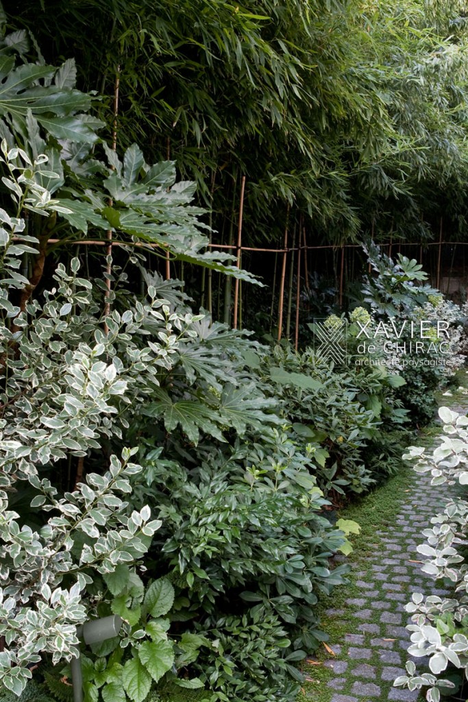 jardin paris petit jungle