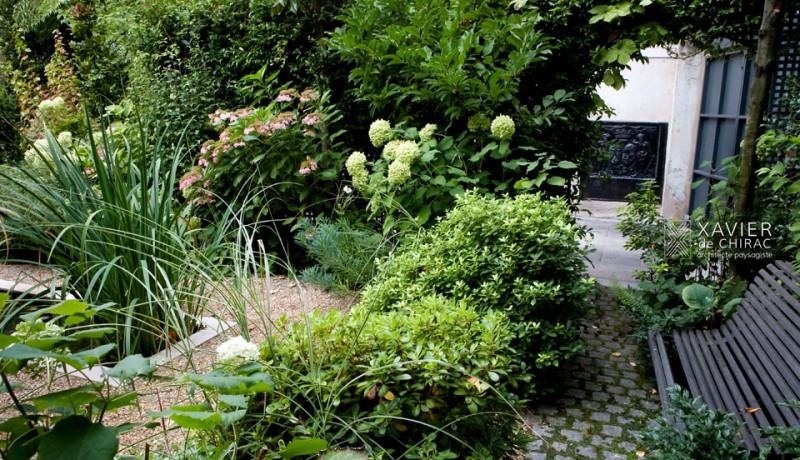 Jardin à Paris – Petite Jungle urbaine