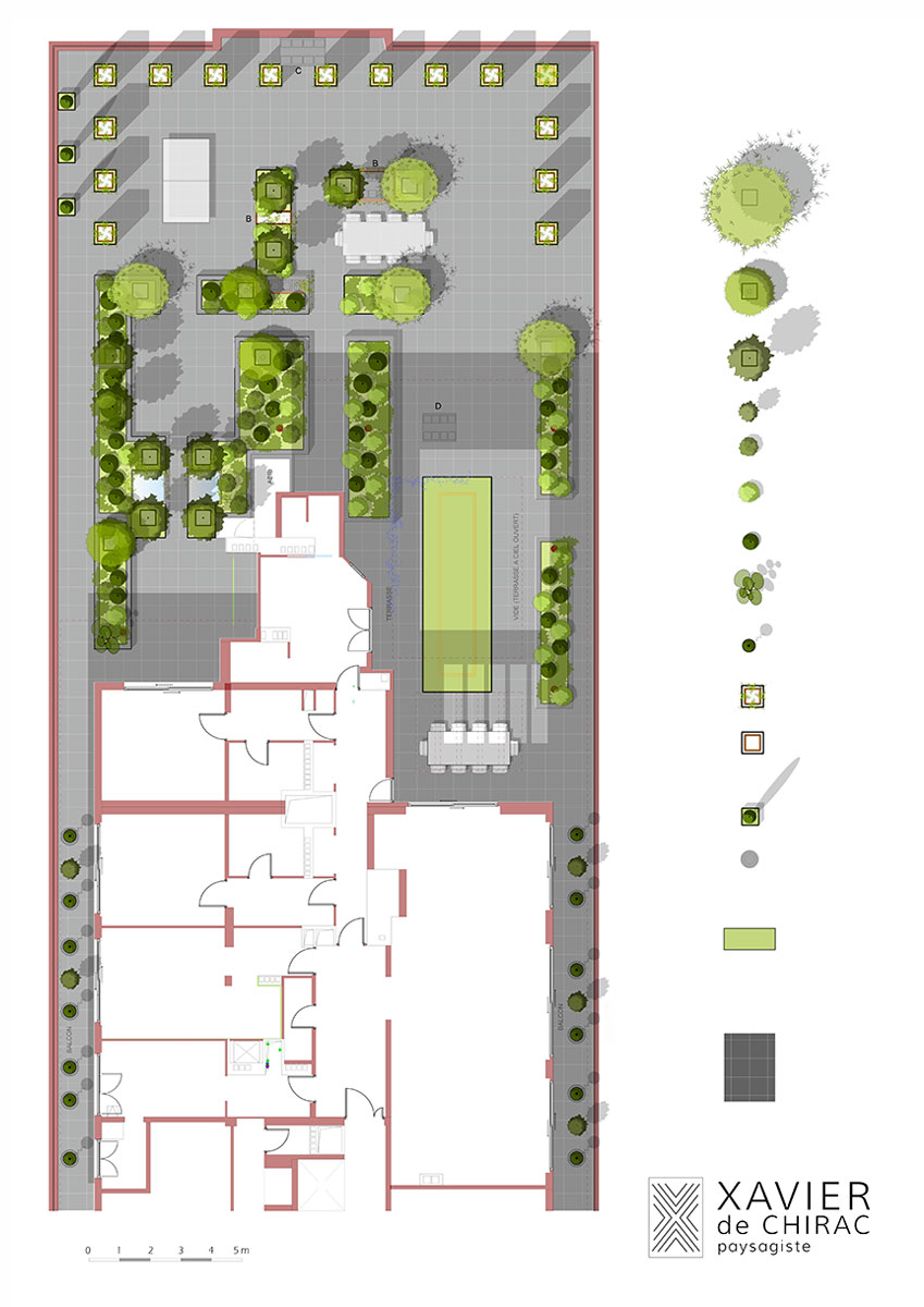 xavier de chirac conception de jardin et terrasse