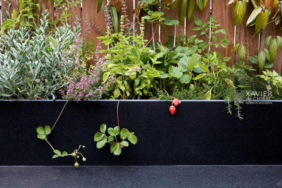 terasse en bois et cuisine