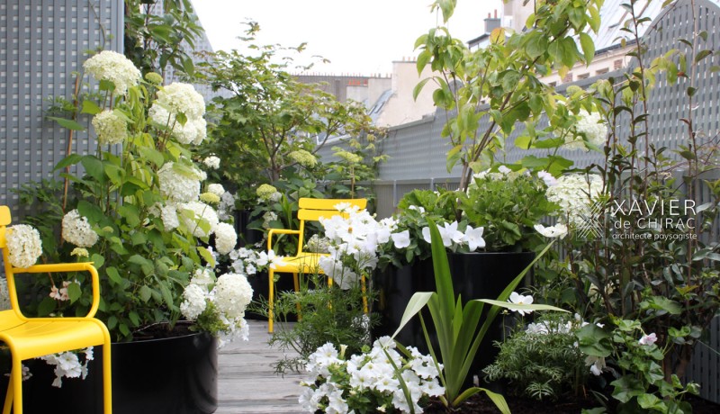 Terrasse couloir
