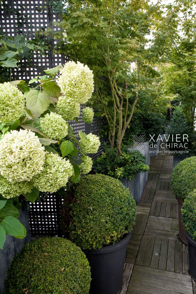 xavier de chirac, terrasse luxuriante Paris New York Landscape Designer, Roof gardens, Terrace gardens, Sustainable Landscapes