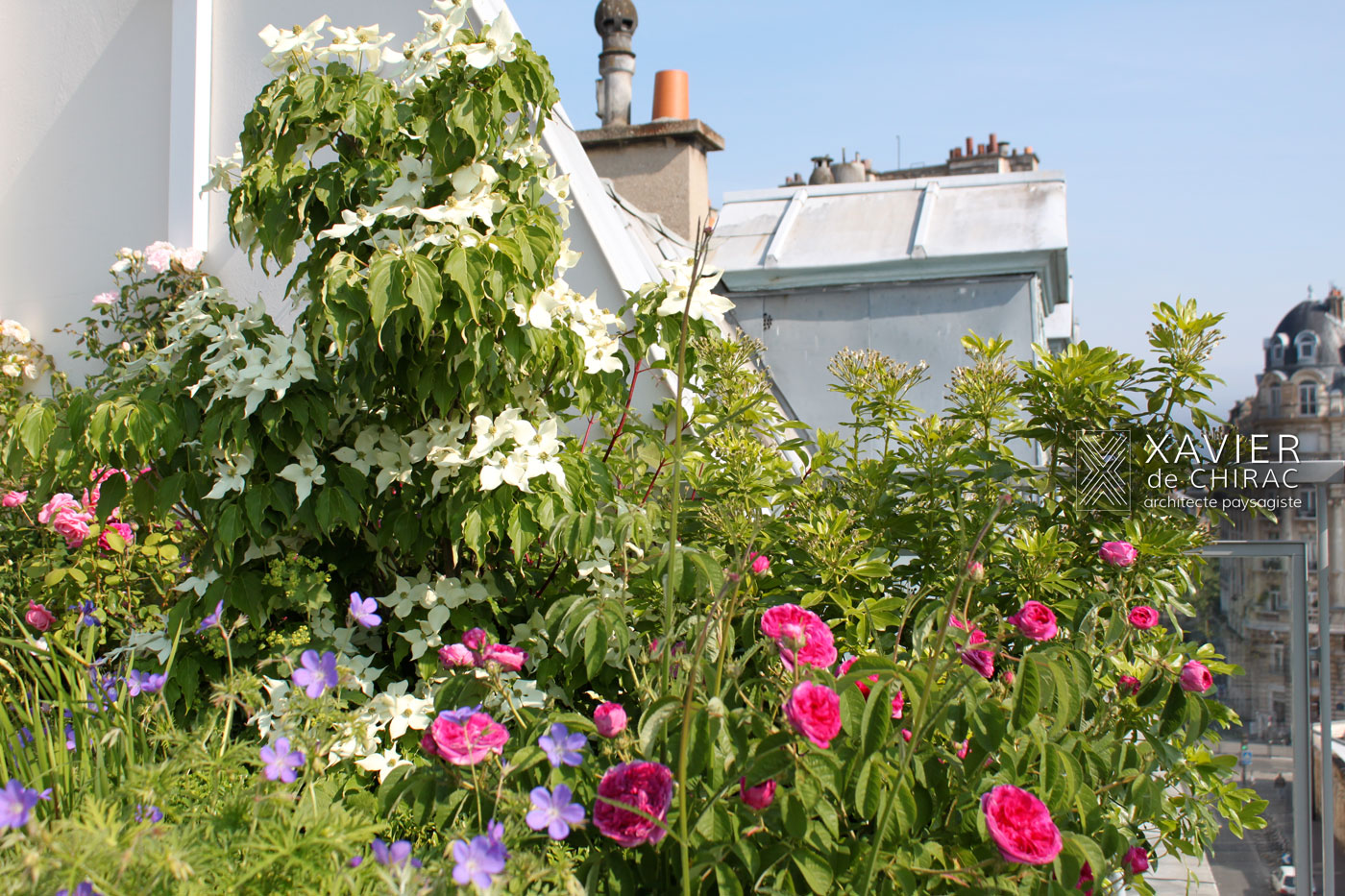 terrasse arc en ciel Paris New York Landscape Designer, Roof gardens, Terrace gardens with Flowers, Sustainable Landscapes
