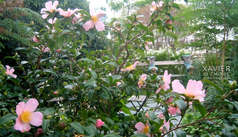 Terrasse romantique au cœur de Paris