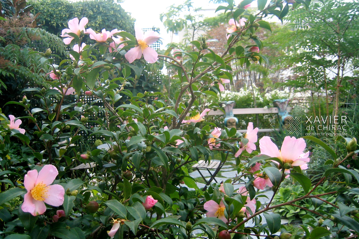 Terrasse romantique au cœur de Paris