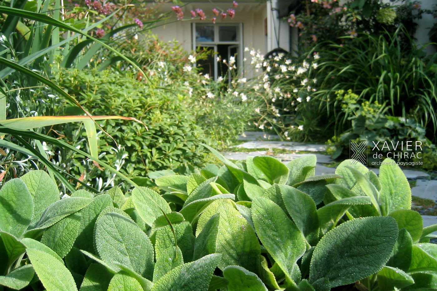 Terrasse romantique au cœur de Paris