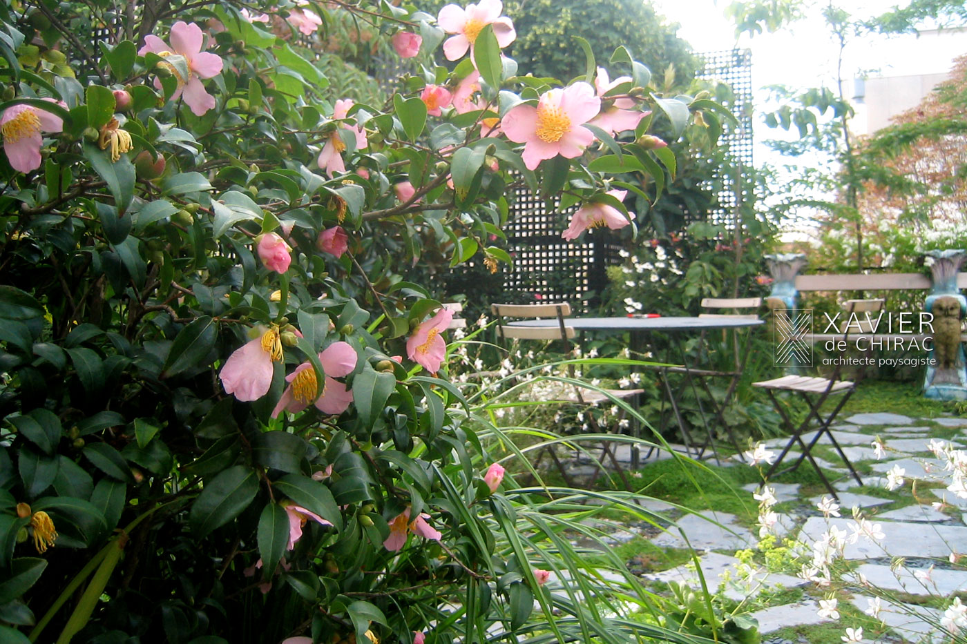 Terrasse romantique au cœur de Paris