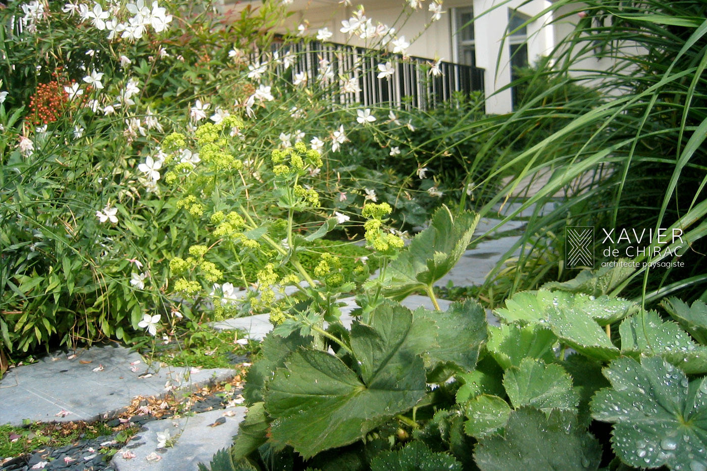 Terrasse romantique au cœur de Paris