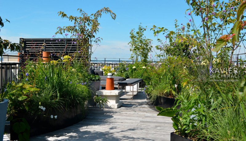 Terrasse sur les toits de Paris