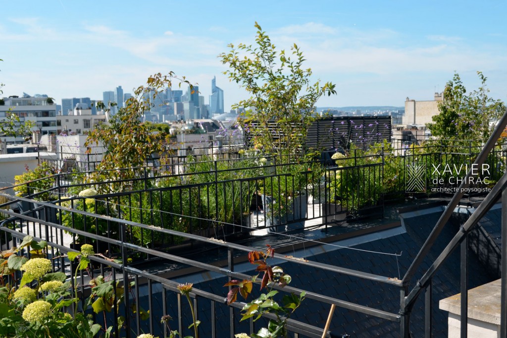 terrasse sur les toits de Paris