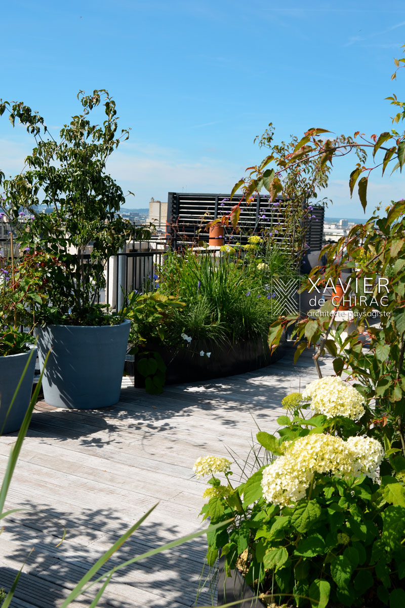 terrasse sur les toits de Paris