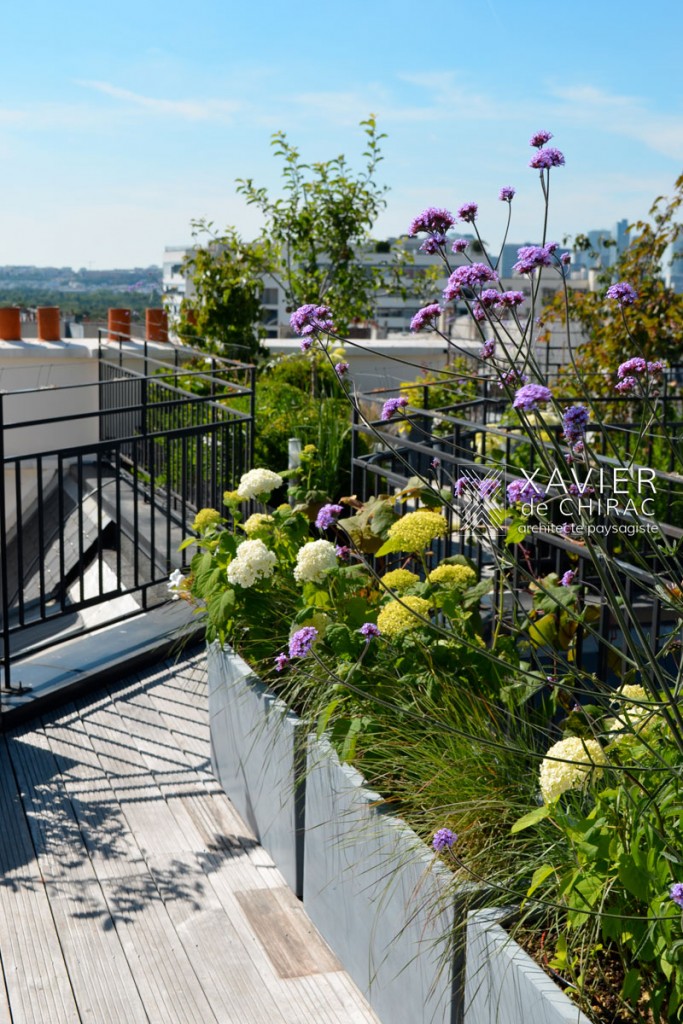 terrasse sur les toits de Paris