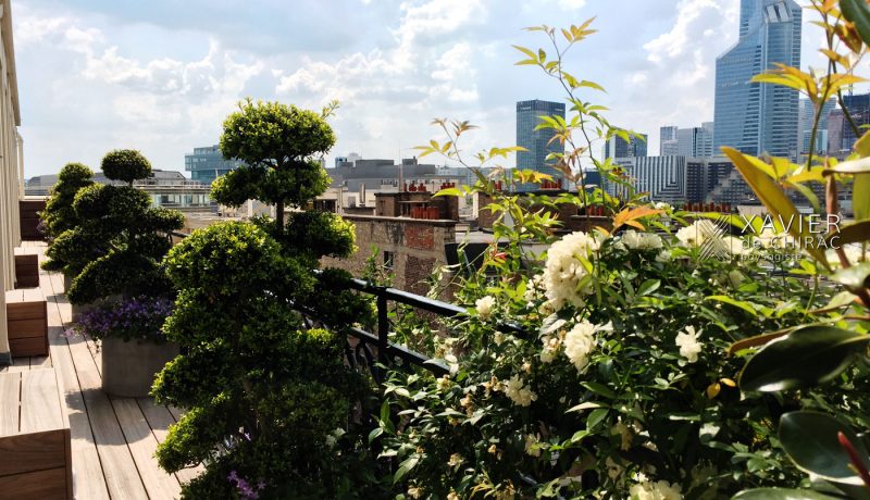Terrasse, dialogue avec les topiaires nuages