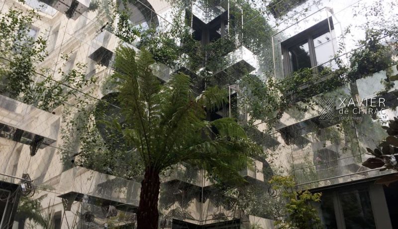 Des miroirs et des plantes