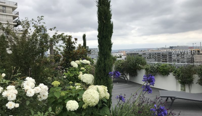 Aux plantes méditerranéennes